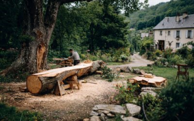 Que faire du bois d’un arbre abattu dans son jardin ?